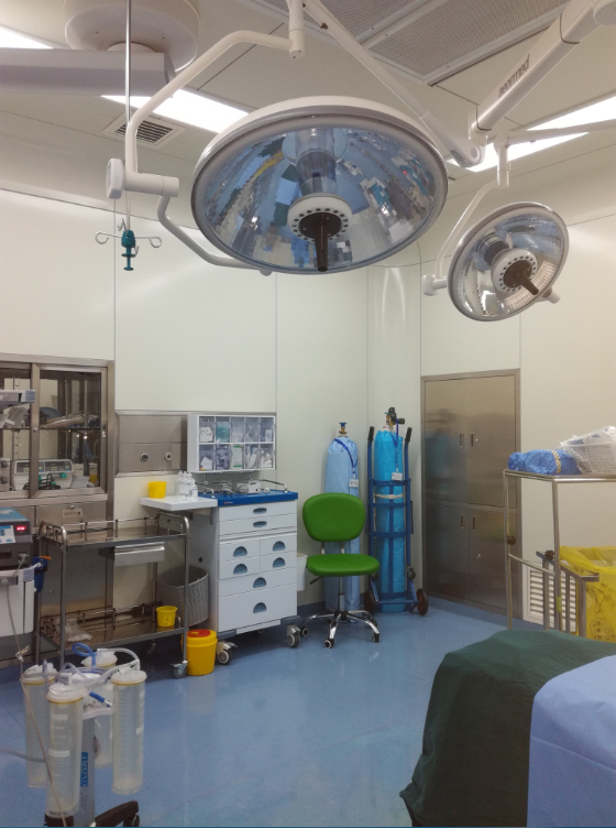 �������h�|���XѪ���tԺ���޹�˾���ٵ��t���O���Ŀ��B