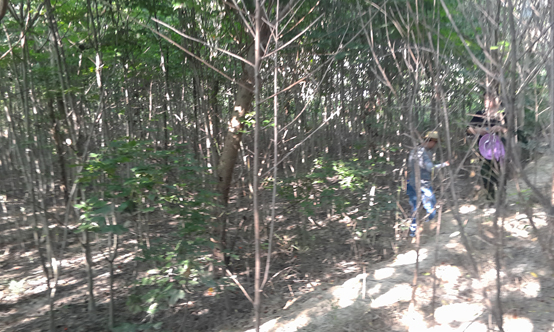 �ϳ���(j��ng)�_(k��i)�^(q��)�������ո������(g��u)�������������c(di��n)��������������c(di��n)��(k��)�(xi��ng)Ŀ