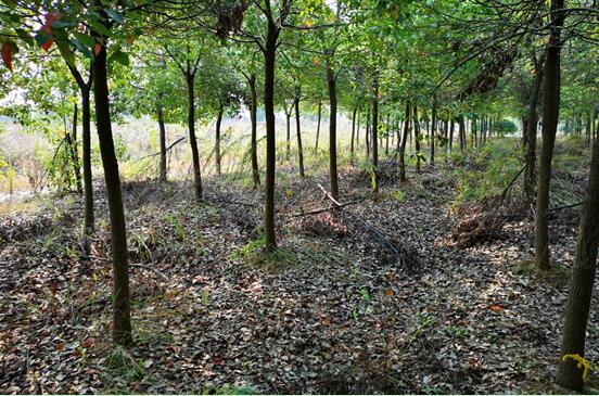 ���Ϸ���վ���¼��g(sh��)�a(ch��n)�I(y��)�_(k��i)�l(f��)�^(q��)**���B(t��i)��(j��ng)��(j��)�l(f��)չ���޹�˾�����ټ��w�����ϵķ��ݡ��C(j��)���O(sh��)�估��������Y�a(ch��n)�Ј�(ch��ng)�r(ji��)ֵ�u(p��ng)�����(xi��ng)Ŀ��(ji��n)��