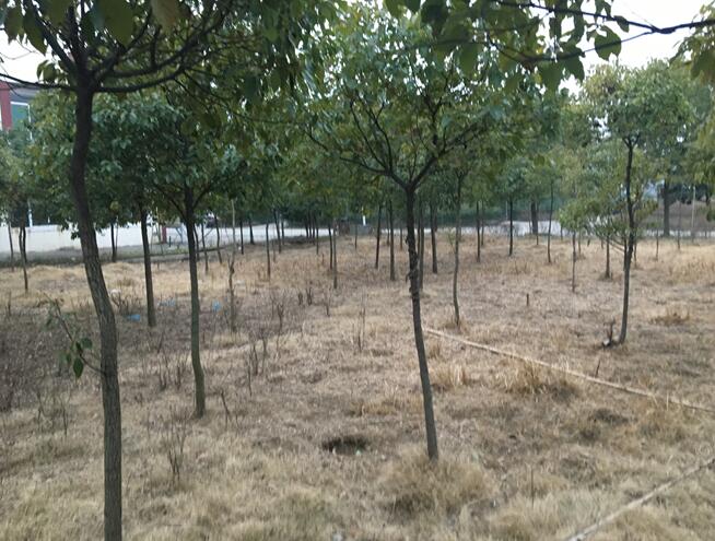 **���޹�˾���е�λ�ڮ�Ϳ�h**悹��I�@���ڹ��I�õ������a���������C���a���o�C���a��������������ľ���k����Ʒ���O�估ģ���Ј��rֵ�u��