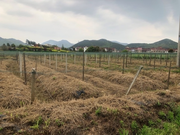 �~��۽����ۅ^(q��)�F·���þ��漰λ�ژ�ꖿh�X��(zh��n)�Ĺ��V�������o���O(sh��)ʩ�a(b��)���r���u��